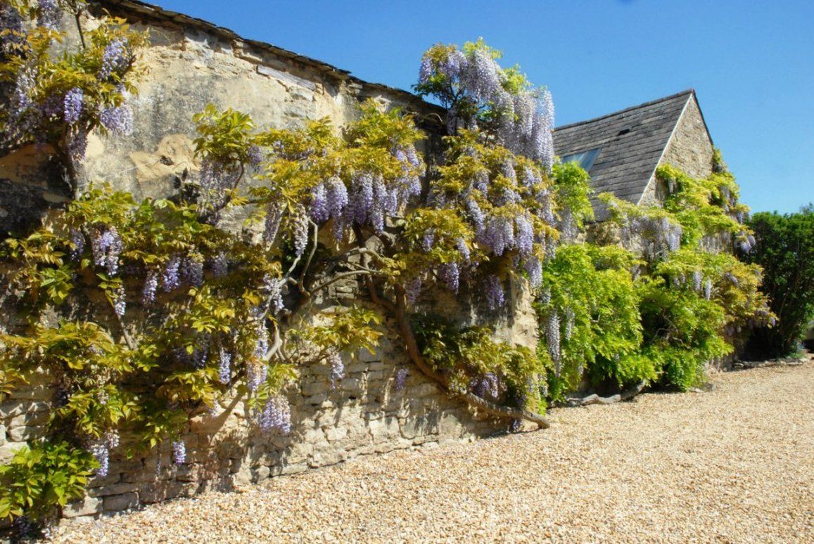 Hotel Marlborough Arms Woodstock Servicios foto